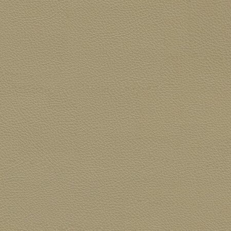 Fine Grained Tan Leather