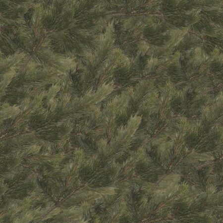 Fir Background