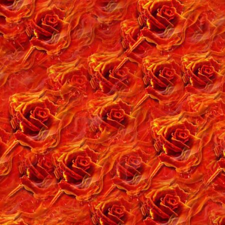 Fire Rose