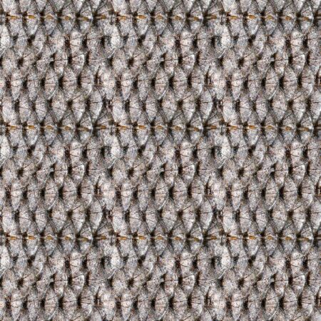 Fish Scales 23