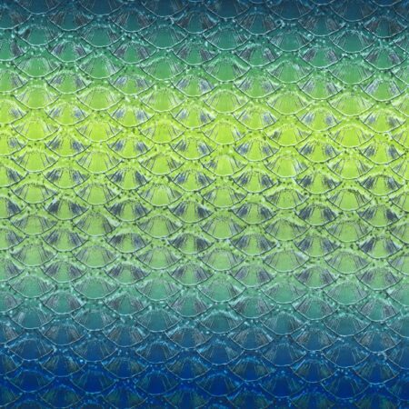 Fish Scales 42
