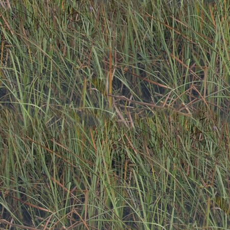 Florida Everglades 22 Camouflage