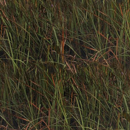 Florida Everglades 23 Camouflage