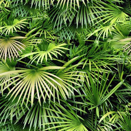 Florida Palmetto 22 Camouflage