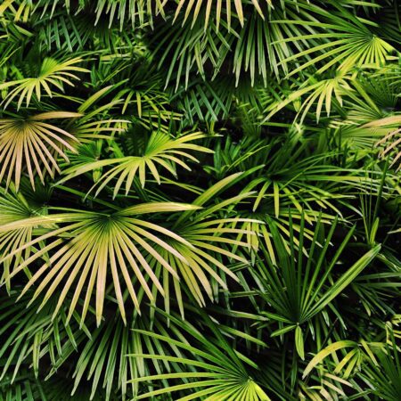 Florida Palmetto 23 Camouflage