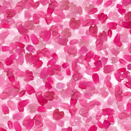 Flower Petals 24