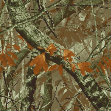 Fusion 3D Camouflage