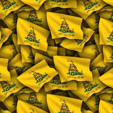 Don't Tread On Me Flag (Gadsden)