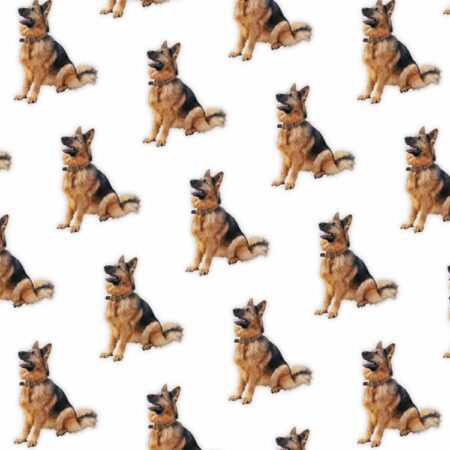German Shepherds 22