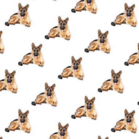 German Shepherds 23