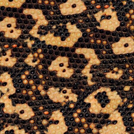 Gila Monster Skin 24
