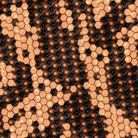 Gila Monster Skin 22