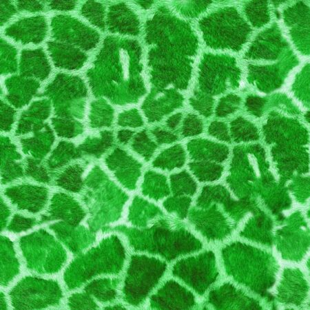 Giraffe Fur 24