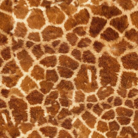Giraffe Fur