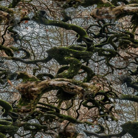 Gnarly 23 Camouflage