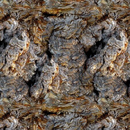 Gnarly Mesquite Wood