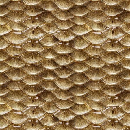 Gold Fish Scales 24