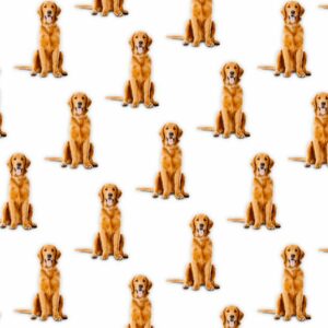 Golden Retrievers 23