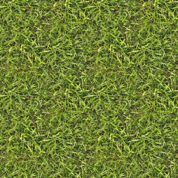 Grass Lawn