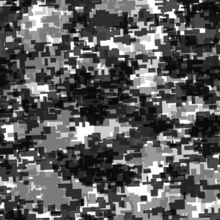 Gray Digital 22 Camouflage