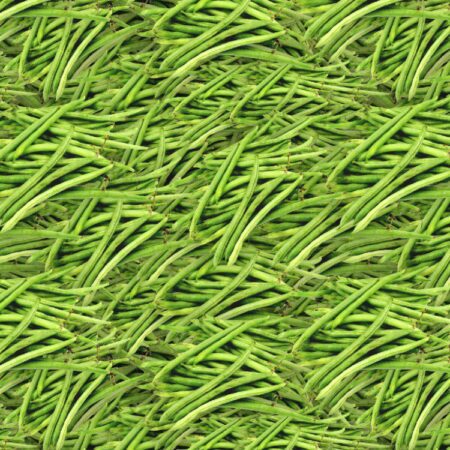 Green Beans 22