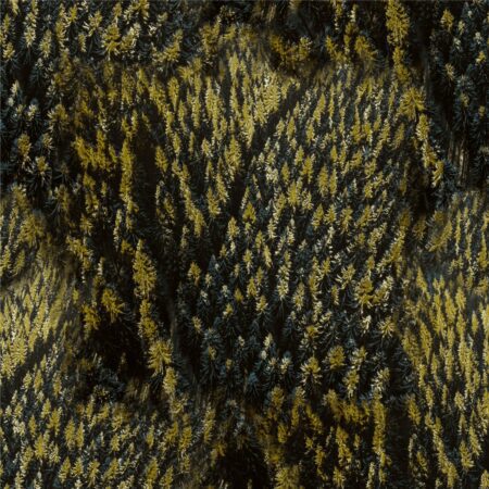 Green Hills of Earth 23 Camouflage