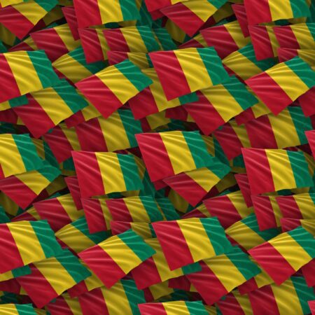 Guinea Flag