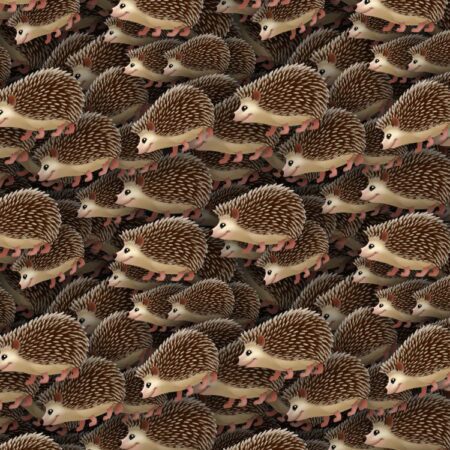 Hedgehogs 22