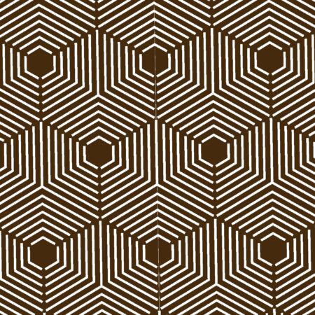 Hexagon Cube Illusion 23