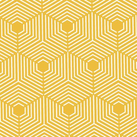 Hexagon Cube Illusion 26