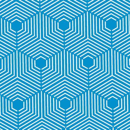 Hexagon Cube Illusion 28