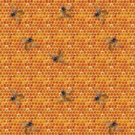 Honeycomb with Bees