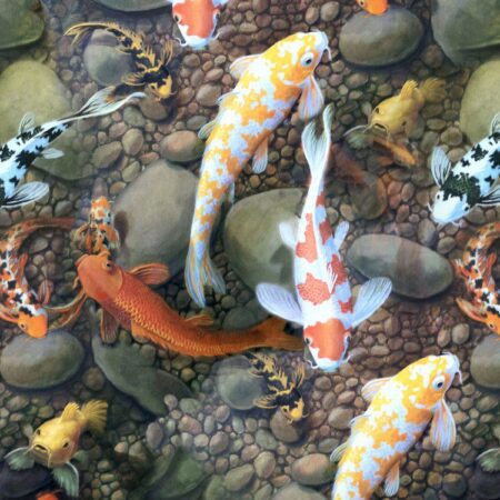 Koi Fish 22