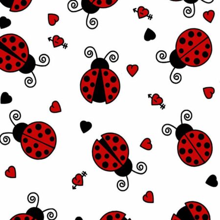 Lady Bugs 21