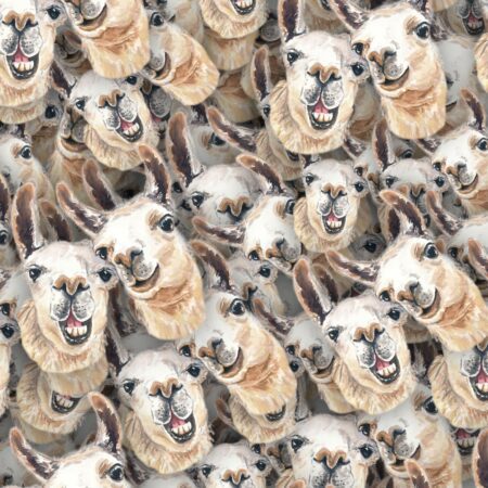 Laughing Llamas