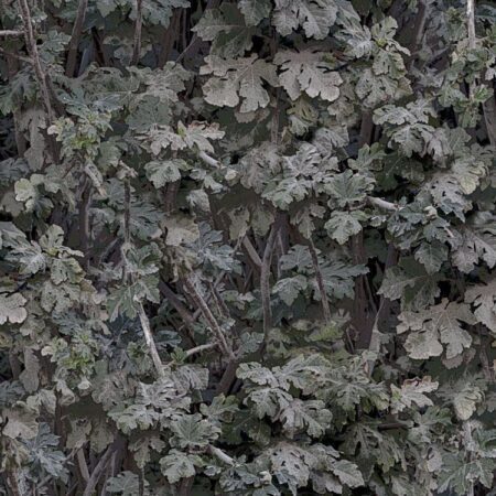 Leaves 22 Camouflage