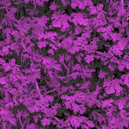 Leaves 23 Camouflage