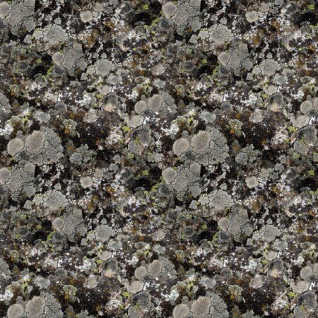 Lichen Camo 64