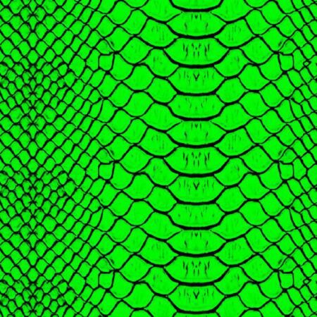 Lime Snake Skin