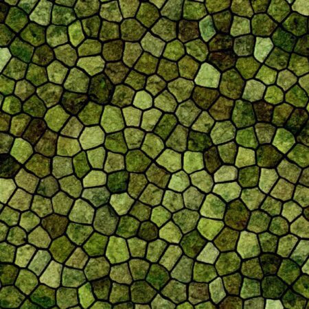 Lizard Scales