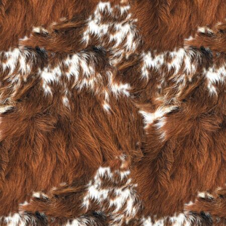 Longhorn Cowhide 24