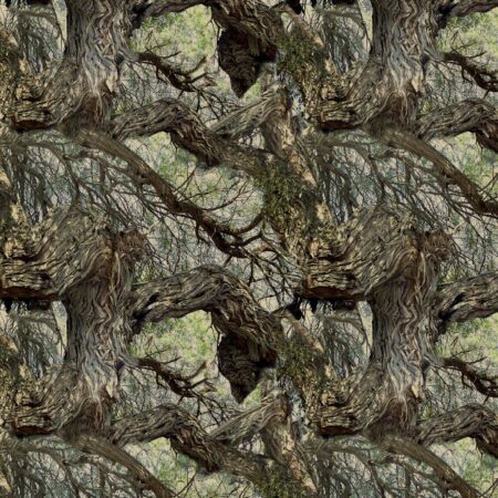 Mesquite Tree Camo 22