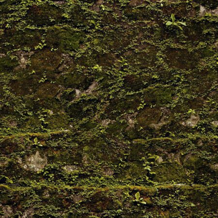 Mossy Stone Camo