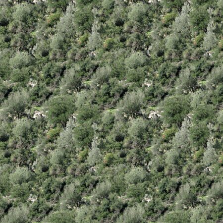 Mountainside Camouflage