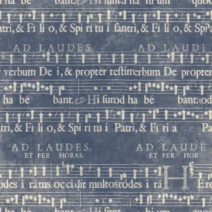 Musical Score Hydro Pattern