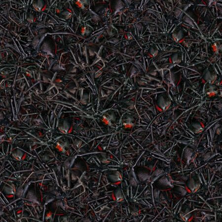 Nest of Black Widows