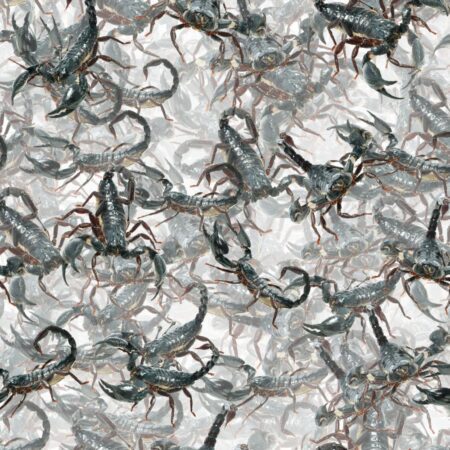 Nest of Scorpions 23