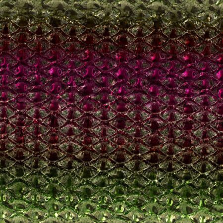 New Orleans Fish Scales