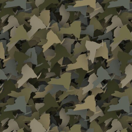 New York Camouflage