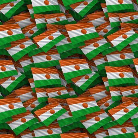 Niger Flag